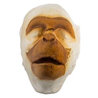 Partial Dr. Zaius Makeup Appliance on Lifecast of Maurice Evans | Blacksparrow