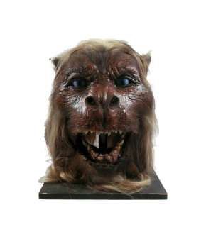 Wing Commander Alien Robotic Head Movie Props | Premiere Props