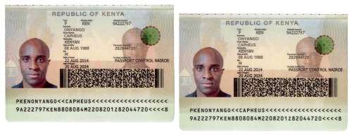 Lot 82 - Capheus Onyango Passport Props from Sense8. A pair of prop ...