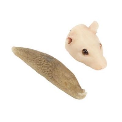 HARRY POTTER AND THE CHAMBER OF SECRETS - Scabbers the Rat Silicone Head and Silicon Slug