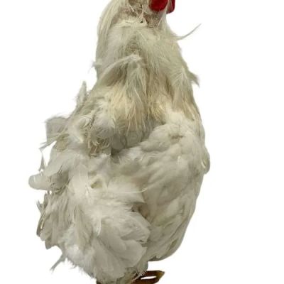 Lot 9: Poker Face Season 2 Hutch (Shiloh Fernandez) Screen Used Chicken Ep 204 | VIP Fan Auctions
