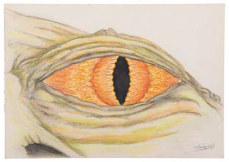 Original John Coppinger Approval Artwork for "Jabba the Hutt‘s" Eyes from Star Wars: Episode VI - Return of the Jedi (TCF, 1983).
