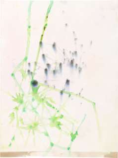 Jerry Garcia 9" X 12" Original Artwork. | Heritage