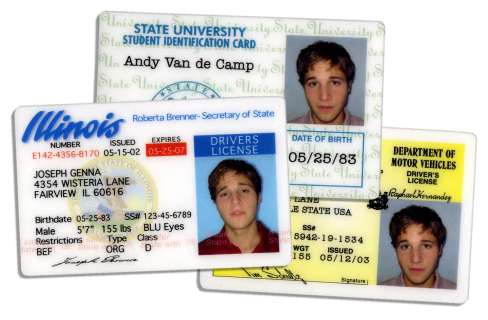 Three ID Cards Used on Screen on ’’Desperate Housewives’’ -- With ABC Studios COA | Nate Sanders