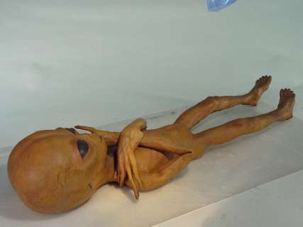 "X-FILES" Screen Used Life Sized Foam Brown Alien with Wire Frame 3’ Tall | Super Auctions