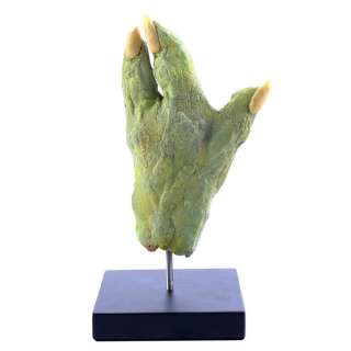 Star Wars: The Empire Strikes Back (1980) - Lot 398 - Yoda‘s (Frank Oz) Puppet Hand