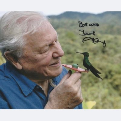 TV and Documentary Legend - Signed by Sir David Attenborough | Catawiki