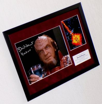 Star Trek - David Warner (RIP) (Chancellor Gorkon) Premium Framed, signed + COA & Photo signing session | Catawiki