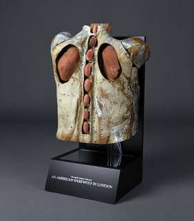 AN AMERICAN WEREWOLF IN LONDON (1981) - Lot 12 - Werewolf Back Transformation Rig