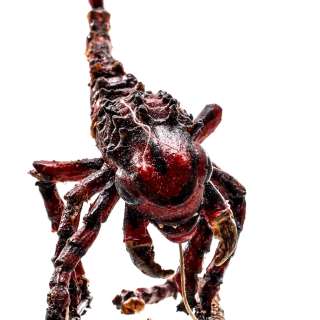 The Outer Limits (1995-2002) Screen Used Sandking Creature Marionette | VIP Fan Auctions