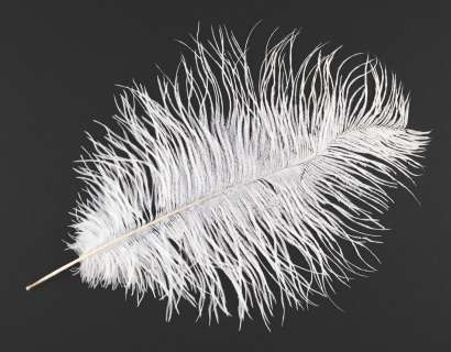 A Wingardium Leviosa Feather from Harry Potter. | Van Eaton Galleries