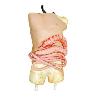 The Terminal List El Navajas Albert Valladares Screen Used Prosthetic Intestines Ep 104 - Lot #55 - The Terminal List El Navajas Albert Valladares Screen Used Prosthetic Intestines Ep 104: Authentic Auction Item | VIP Fan Auctions | VIP Fan Auctions