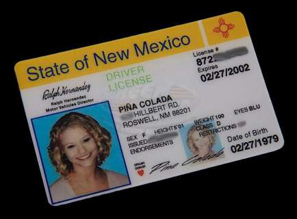 Lot 508 - Roswell (TV) - Tess‘ "Fake" Drivers License (Emilie de Ravin)