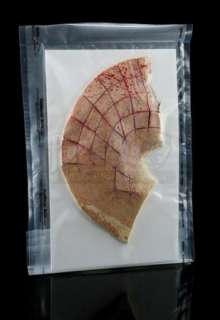 Hellraiser: Judgment | Pinhead’s (Paul T. Taylor) Bloodied Scalp Prosthetic Appliance Piece | Propstore