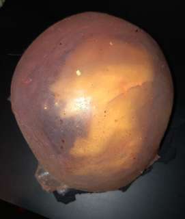 The Silence - Creature Egg Prop from the Film (0024) | Propabilia