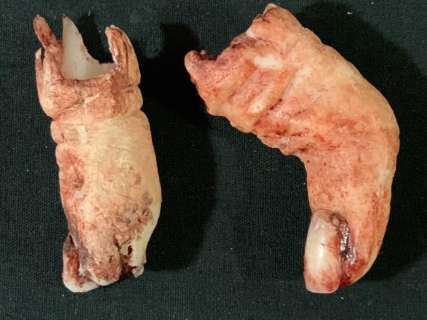 Lot 246 - Doctor Sleep (2019) - Rose The Hat (Rebecca Ferguson) Finger Appliances