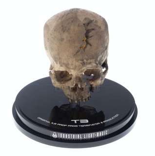 Terminator 3: Rise of the Machines - Human Skull - A66 | Icons of Pop Culture