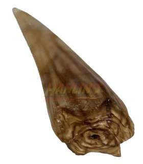 Jurassic World (2015) - Screen Used Indominus Rex Tooth | Hanlin Auction Service