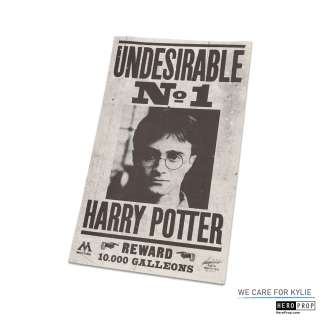 Harry Potter & The Deathly Hallows (2010) Undesirable #1 | HeroProp