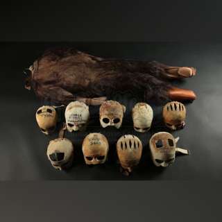 GREYSTOKE: THE LEGEND OF TARZAN, LORD OF THE APES (1984) - Lot 821 - Ape Suit and Underskulls