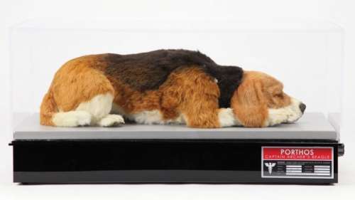 Captain Archer’s Pet Beagle from Star Trek Enterprise | Profiles in History