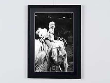 Marilyn Monroe - At Barnum Circus 1955 | Marilyn Monroe - At Barnum Circus 1955 - Wooden Framed 70X50 cm - Limited Edition Nr 01 of 20 - Serial ID 30314 - Original Certificate (COA), Hologram Logo Editor and QR Code | Catawiki