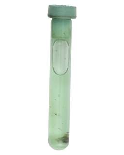 "The Nutty Professor" Sherman Klump’s (Eddie Murphy) Prop Serum | Planet Hollywood Vault