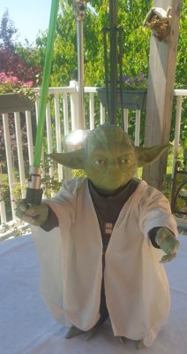 Hasbro - Action figure YODA - 2010-2020 - U.S. | Catawiki