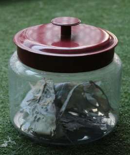 Pacific Rim (2013) - Kaiju Jar | Hanlin Auction Service