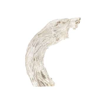 Lot #140 – Storm of the Century (1999-1999) Andre Linoge Colm Feore Production Made Wolf Head Cane Topper