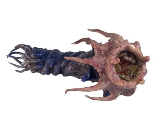Grabbers (2012) - Hero Alien Worm Creature | Hanlin Auction Service