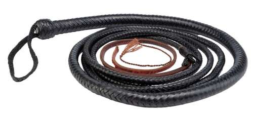 CATWOMAN (2004) - Lot #113 : Catwoman‘s (Halle Berry) Whip