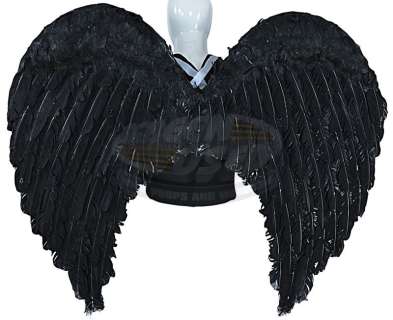 Wizards of Waverly Place (TV) - Justin Russo’s Angel Wings (David Henrie) | ScreenUsed
