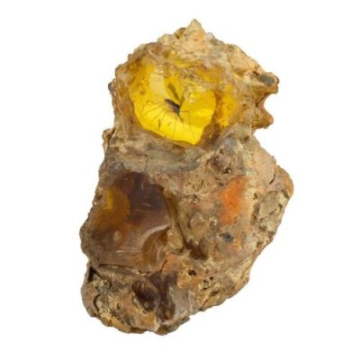 Jurassic Park (1993) | Lot 190 : Screen-Matched Opening Scene Mosquito in Amber Fossil | Propstore