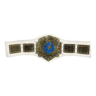 Heels Production Used World Champion Belt | VIP Fan Auctions