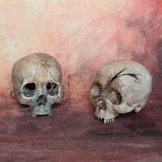 Pirates of the Caribbean: Dead Man’s Chest - Cannibal Island Skulls – A170 | Icons of Pop Culture