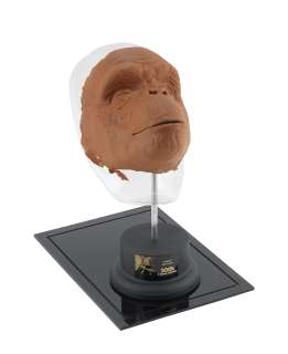 2001: A Space Odyssey, 1968: An original ape mask, | Bonhams