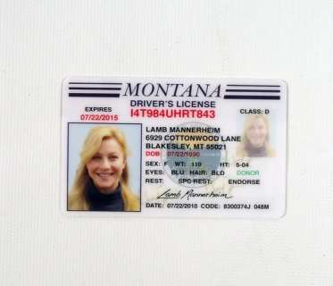 Paradise Lamb (Julianne Hough) Driver’s License Move Props | Premiere Props