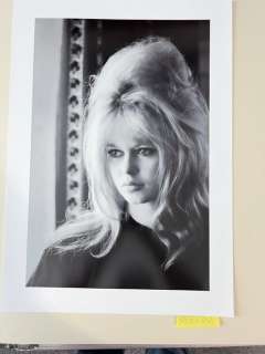 Brigitte Bardot Iconics- Collection - Collector Image - Size 59x42 cm - 100% new - Gallery Stamp , sign - Never Exposed - Baryta - Flat shipped ! - No carton tube - | Catawiki
