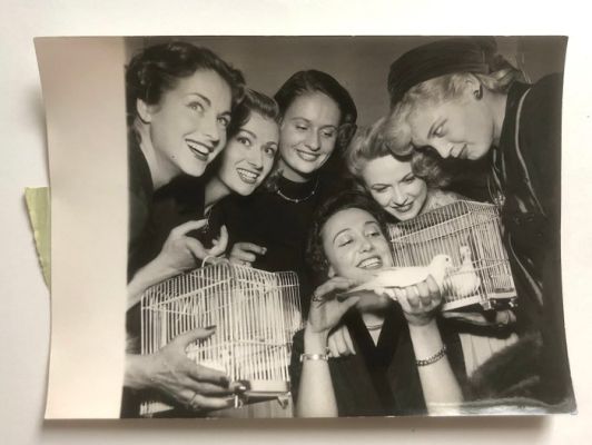 Robert Cohen (AGIP) - Colette Mars, Colette Georges, Maud Lamy, Zina Rachewski – Photo de presse originale - 1952 | Catawiki