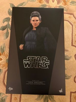 Hot Toys - Action figure Leia Organa - 2010-2020 - China | Catawiki