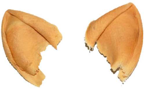 Cast Latex ’’Star Trek’’ Vulcan Ears | Nate Sanders