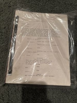 Ferris Bueller’s Day Off (1985) RARE Casting Agent Screenplay RARE HTF | eBay US