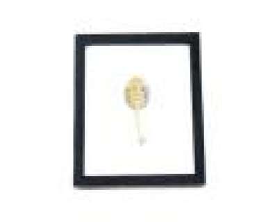 New Girl - Lot 343 - Jess‘ Framed Mushroom Illustration