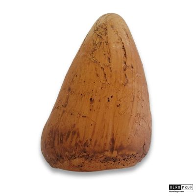 Jurassic Park III | Jurassic Park III (2001) – Tyrannosaurus Rex Tooth | HeroProp