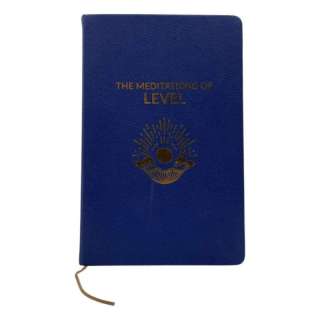 Opus Ariel Ecton (Ayo Edebiri) Screen Used The Meditation Of Level Book | VIP Fan Auctions
