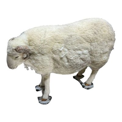 Lot 77: The Sheep Detectives Hero Mopple Stuffy | VIP Fan Auctions