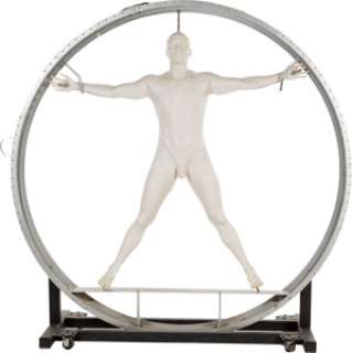 Westworld (HBO®Original 2016-2022), White Host Body with Vitruvian Man Ring. (Total: 2 Items)