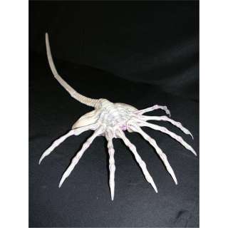 Alien Face Hugger | Premiere Props