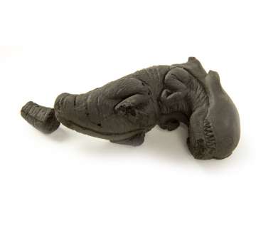 ALIEN Baby Alien Prop | Blacksparrow